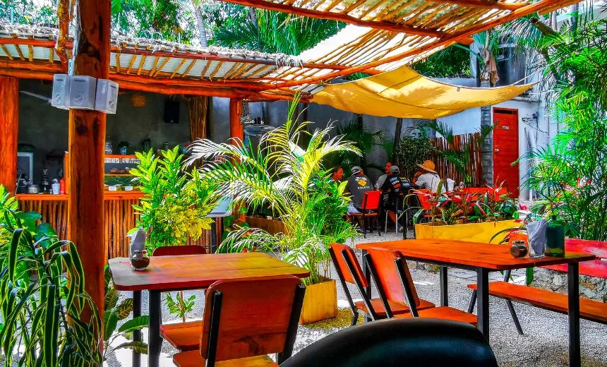 Cafe & Casual Dining Restaurant Consultant in India - Concept, Branding & Operations