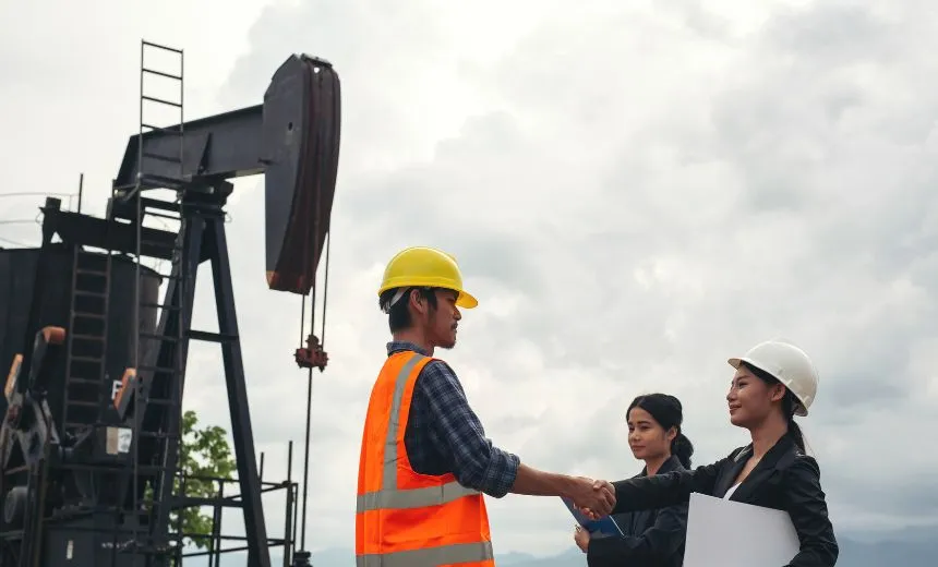 Oil Gas Energy Project Consultant in India
