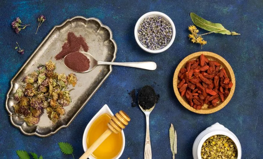 Nutraceutical Herbal Pharma Consultant in Delhi